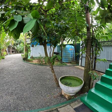 New Star Light Hotel Mirissa Exterior photo
